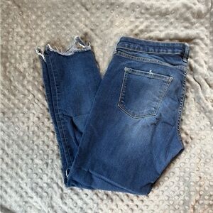 Arizona Jean Company Dark Blue Skinny Jeans